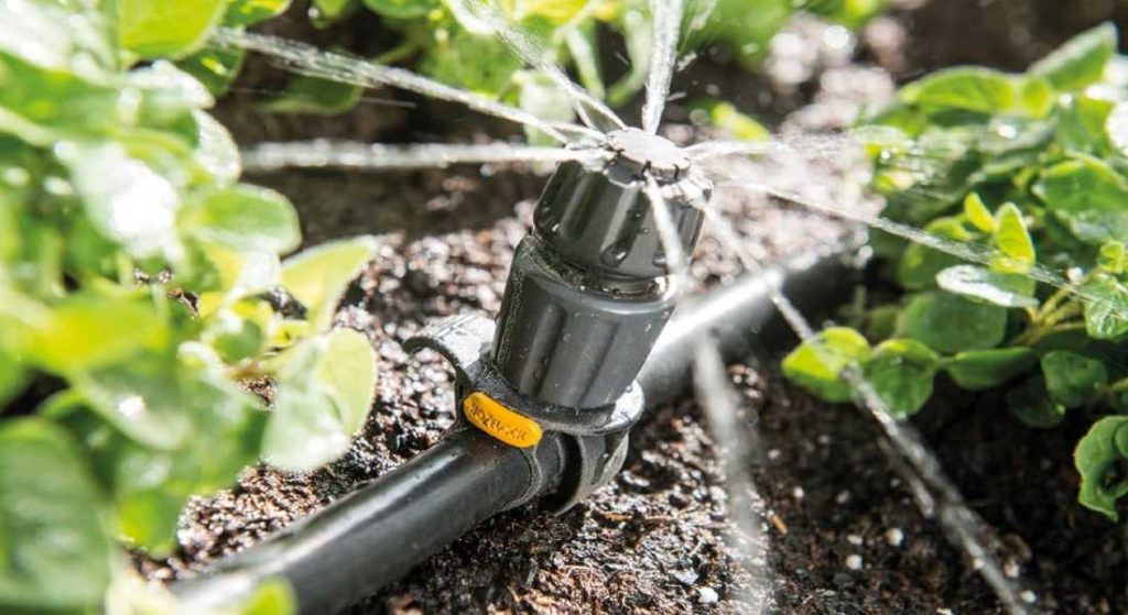 Ensuring You Have the Perfect Irrigation System for Your Yard ...